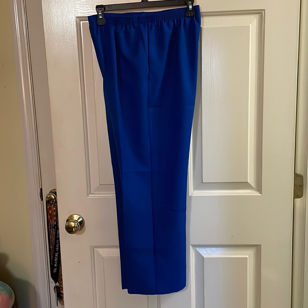 Alfred Dunner blue pants size 8P.